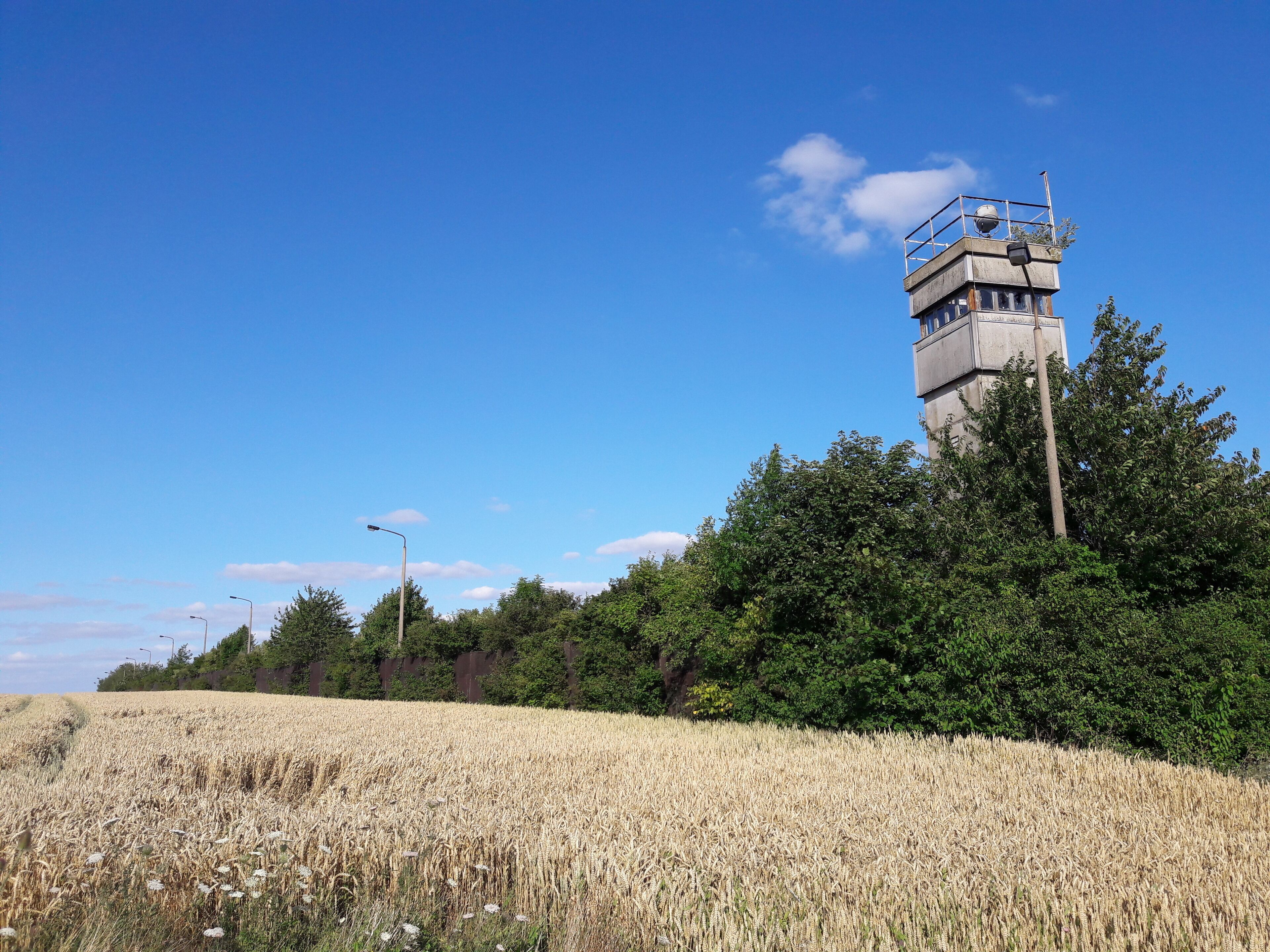 A wheat field, a watchtower, and a clear blue sky.