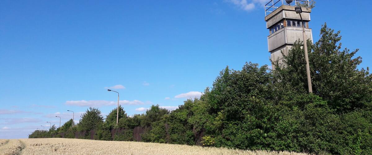 A wheat field, a watchtower, and a clear blue sky.