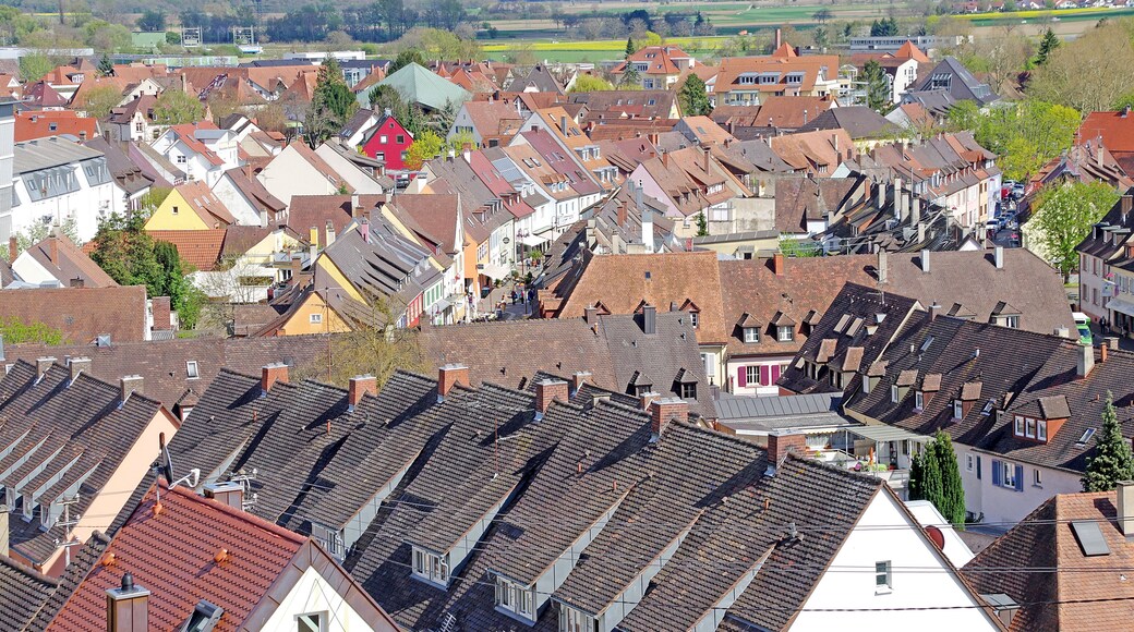 On our Viking Rhine River Cruise the smaller German towns had narrow roads and beautiful views.