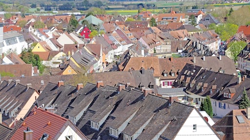On our Viking Rhine River Cruise the smaller German towns had narrow roads and beautiful views.