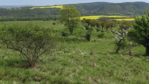 Blick vom NSG Spitzenberg-Schießplatz Rothenstein-Borntal nach Schiebelau Richtung Osten ins Saaletal