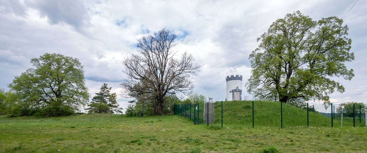 A grassy field with a tower and trees.