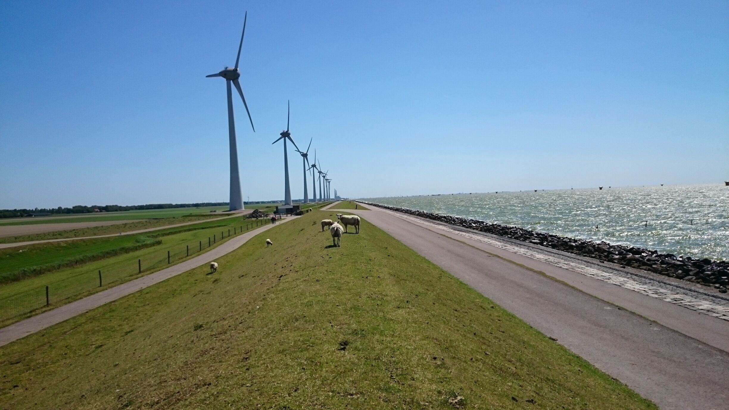A coastal road with wind turbines, a grassy area, and a body of water.