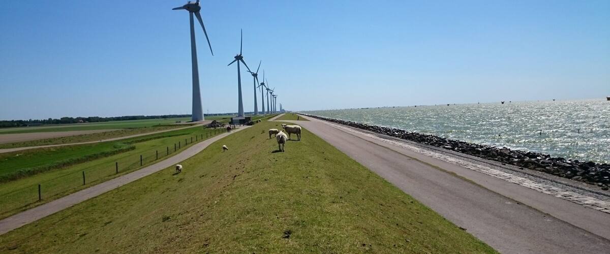 A coastal road with wind turbines, a grassy area, and a body of water.
