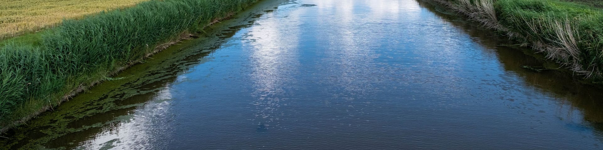 Flevoland province, The Netherlands