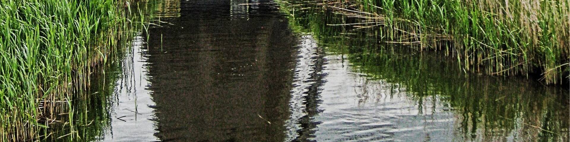 One of the windmills at the Schermer polder in The Netherlands.