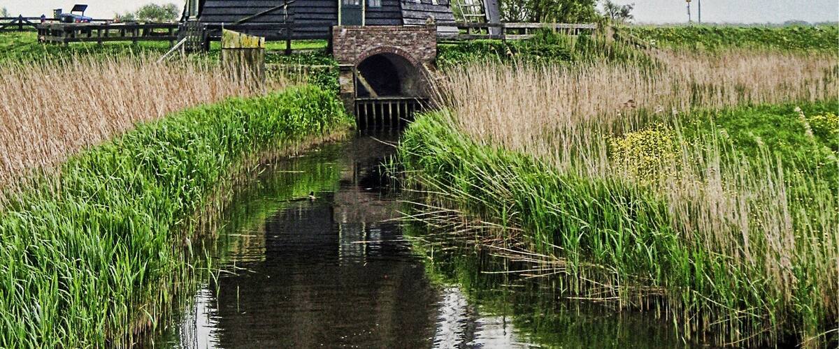 A traditional windmill by a canal with surrounding greenery.