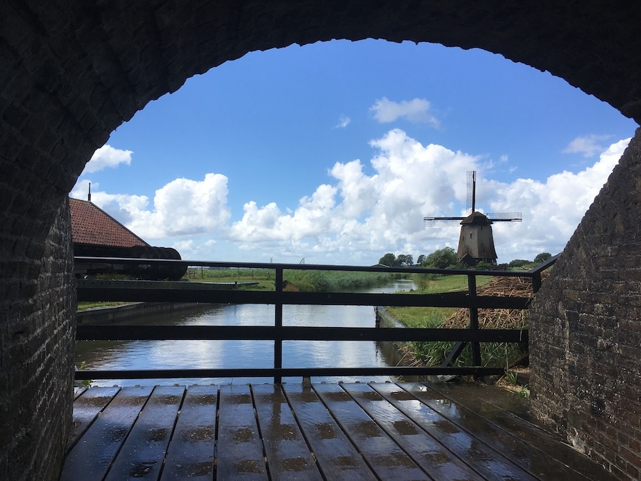 Forget Kinderdijk and Zaandam. Enjoy an insightfull talk with the miller on how clouds develop, what life was like on a mill and what it takes to keep the water out of the polder.
For Dutchies: bring your old klompen for a free entry to the museum. - picture taken from the base of the next mill.