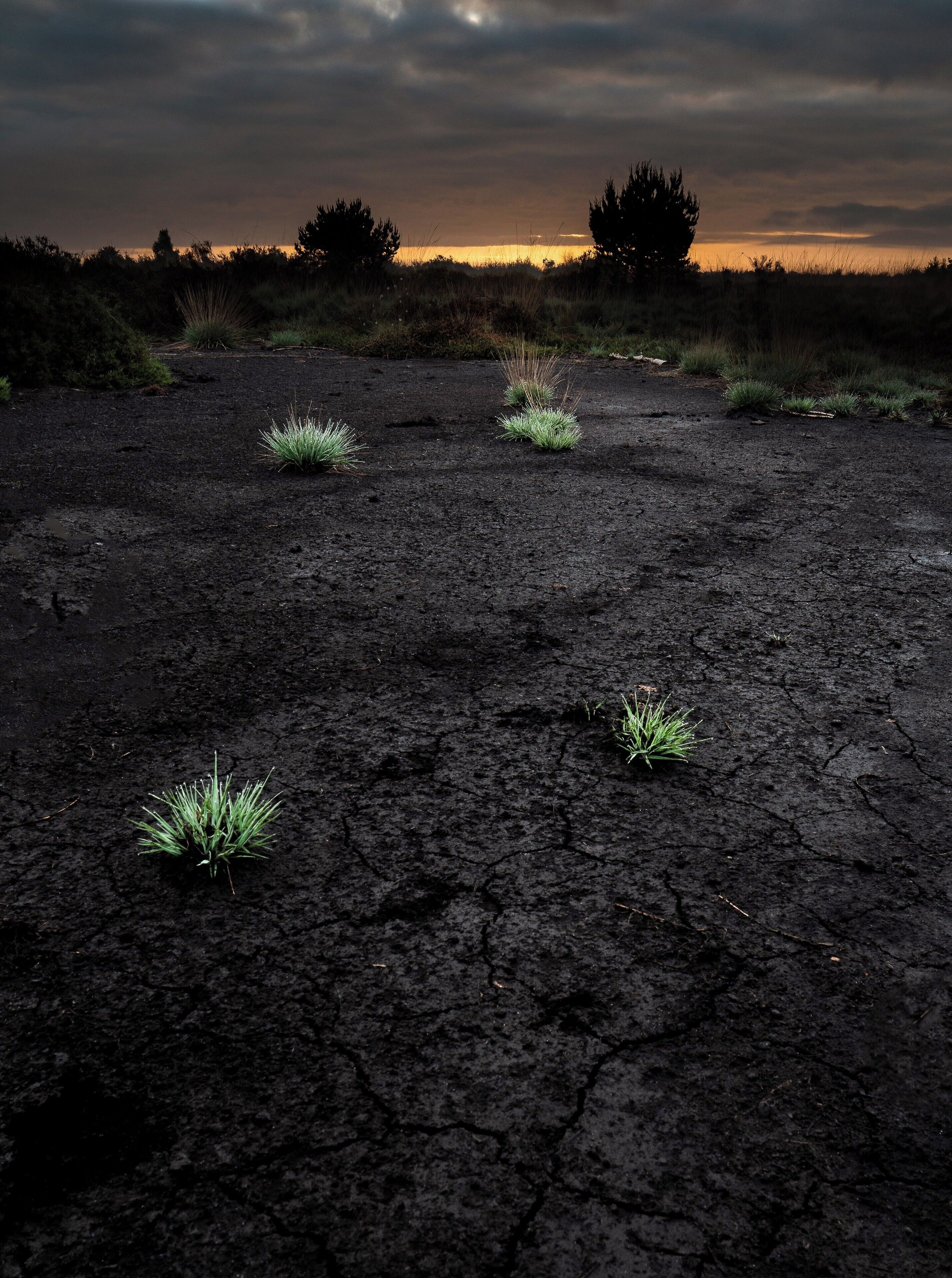 Sunset engbertsdijkveen