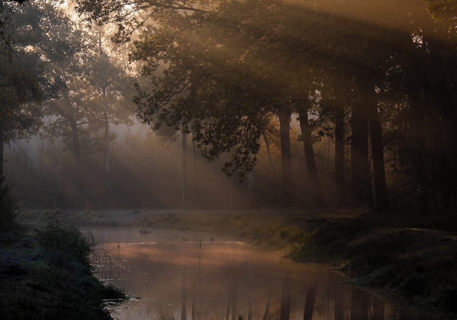 Sunrise autumn