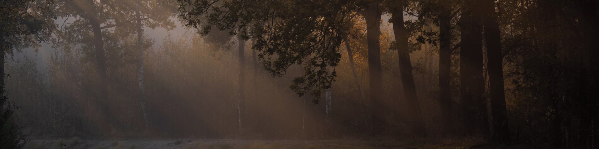Sunrise autumn