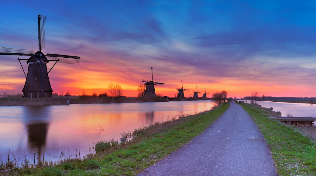 Traditional windmills at sunrise, Kinderdijk, The Netherlands