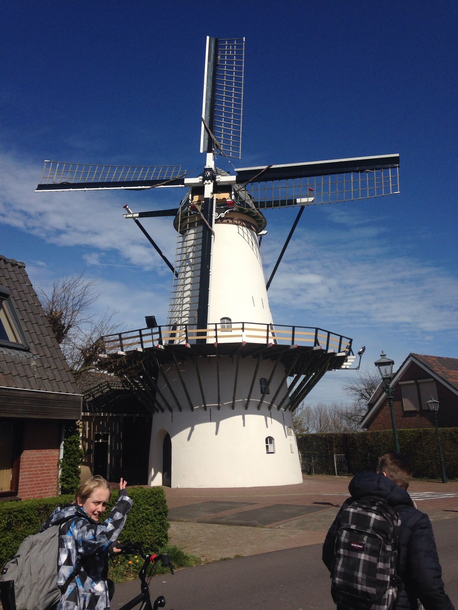 A traditional windmill with a white body and black accents, surrounded by residential buildings and a clear blue sky.