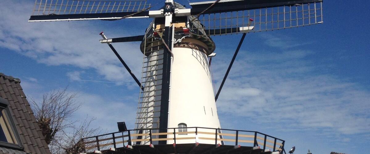 A traditional windmill with a white body and black accents, surrounded by residential buildings and a clear blue sky.