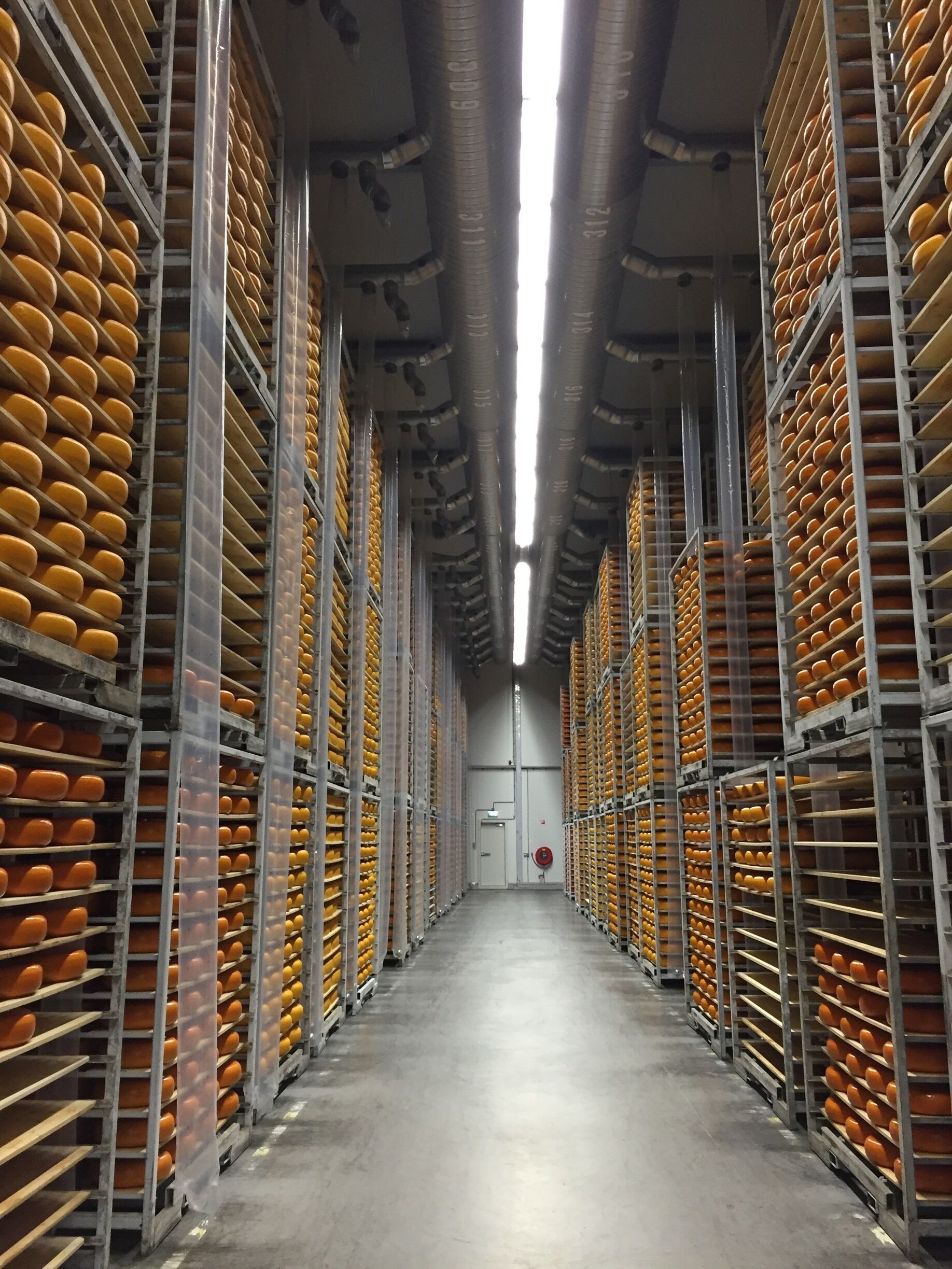 A warehouse with rows of orange crates on metal shelving.