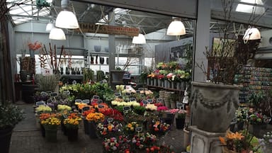 A greenhouse with various potted plants and flowers on display.