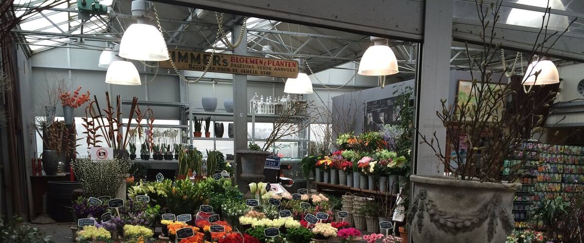 A greenhouse with various potted plants and flowers on display.