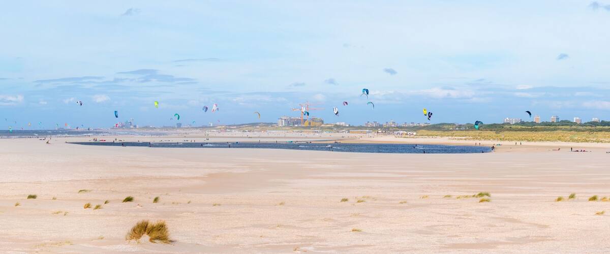 A wide sandy beach with numerous kites flying in the sky.