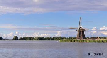A beautiful and relax nature area in so-called Green heart in the Netherlands.