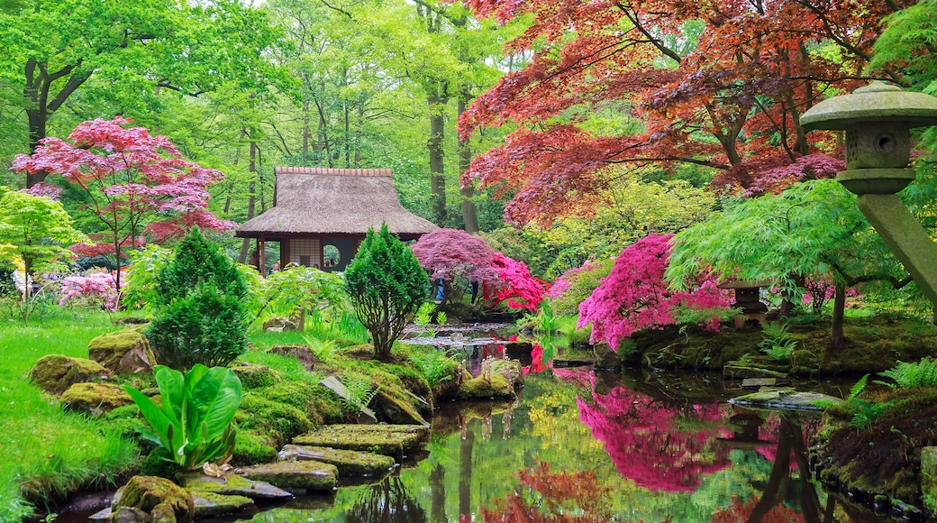 Ein traditioneller japanischer Garten mit einem pavilIon mit Strohdach, einem Teich, der die umliegenden Bäume spiegelt, und verschiedenen blühenden Pflanzen.