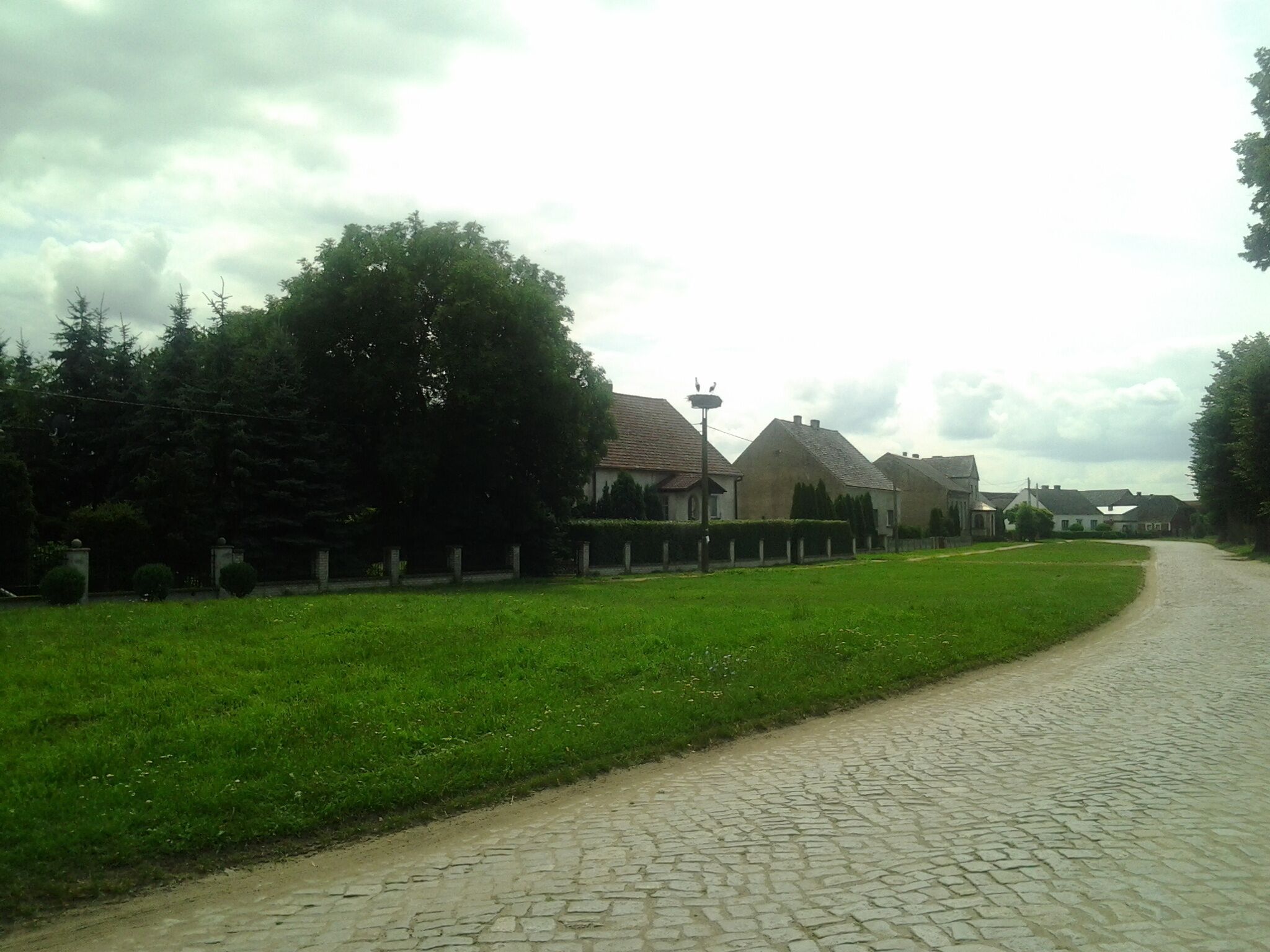 Bocianie gniazdo w Kłopocie