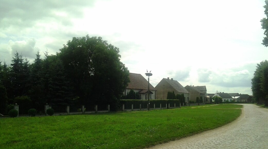 Bocianie gniazdo w Kłopocie