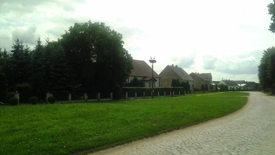 A rural road with houses and trees.
