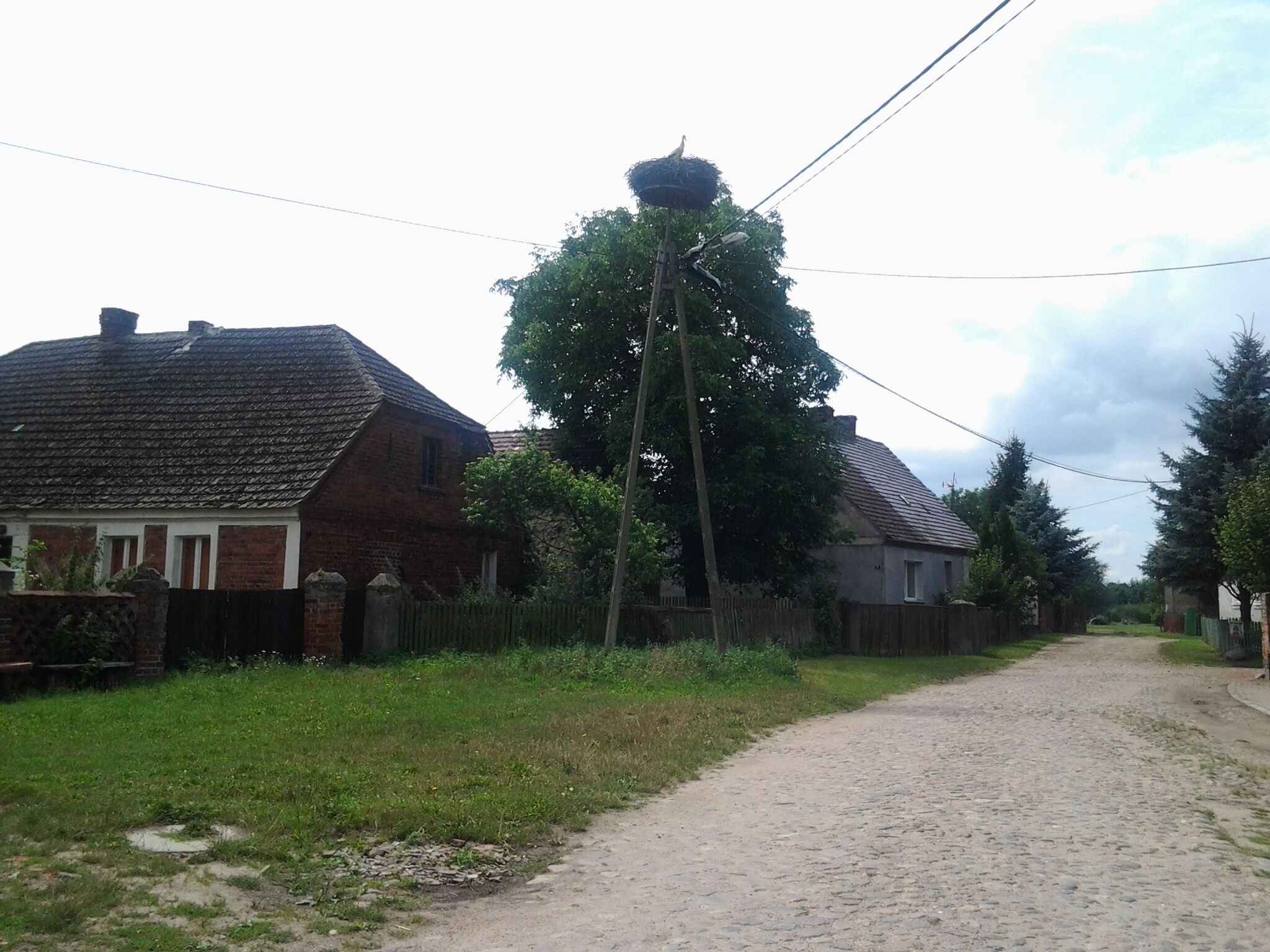 Bocianie gniazdo w Kłopocie