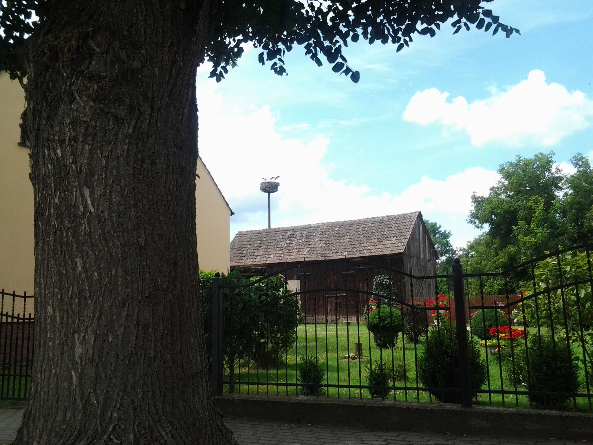 Bocianie gniazdo w Kłopocie