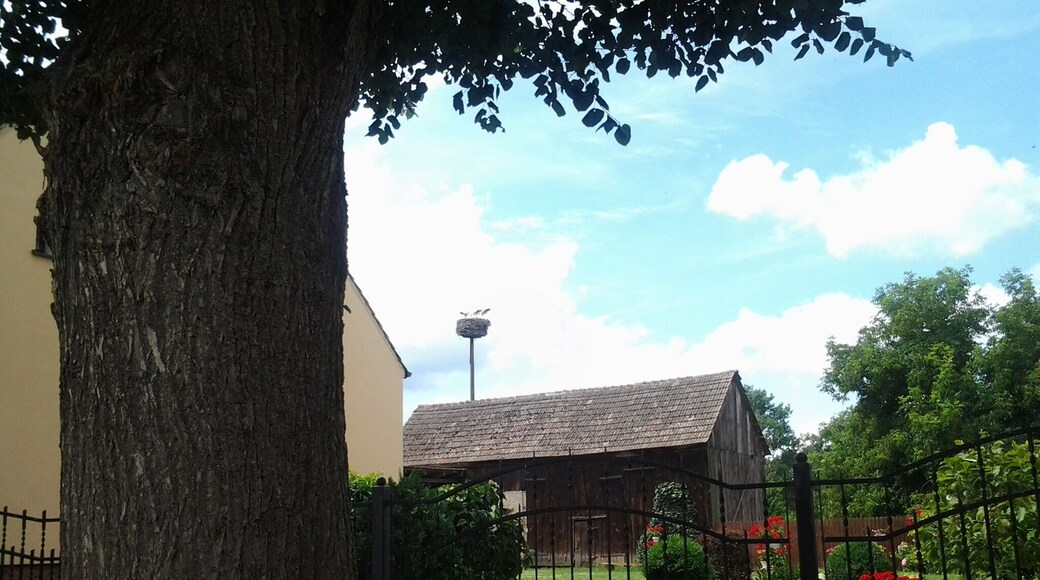 Bocianie gniazdo w Kłopocie