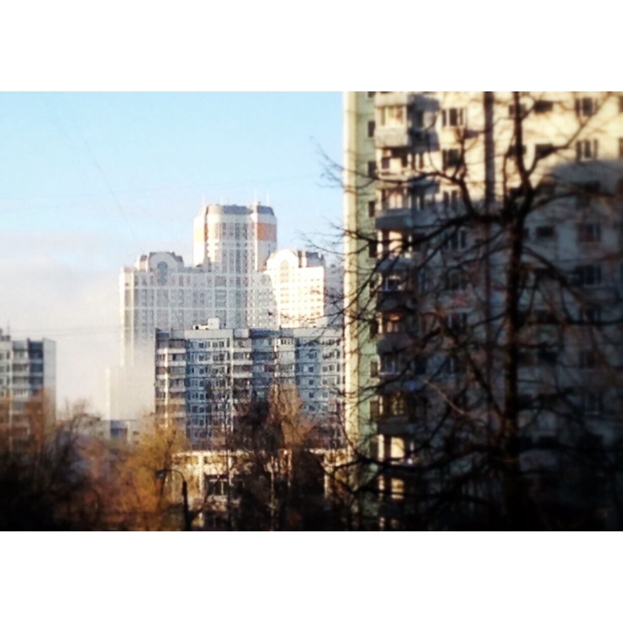 "Термитник"