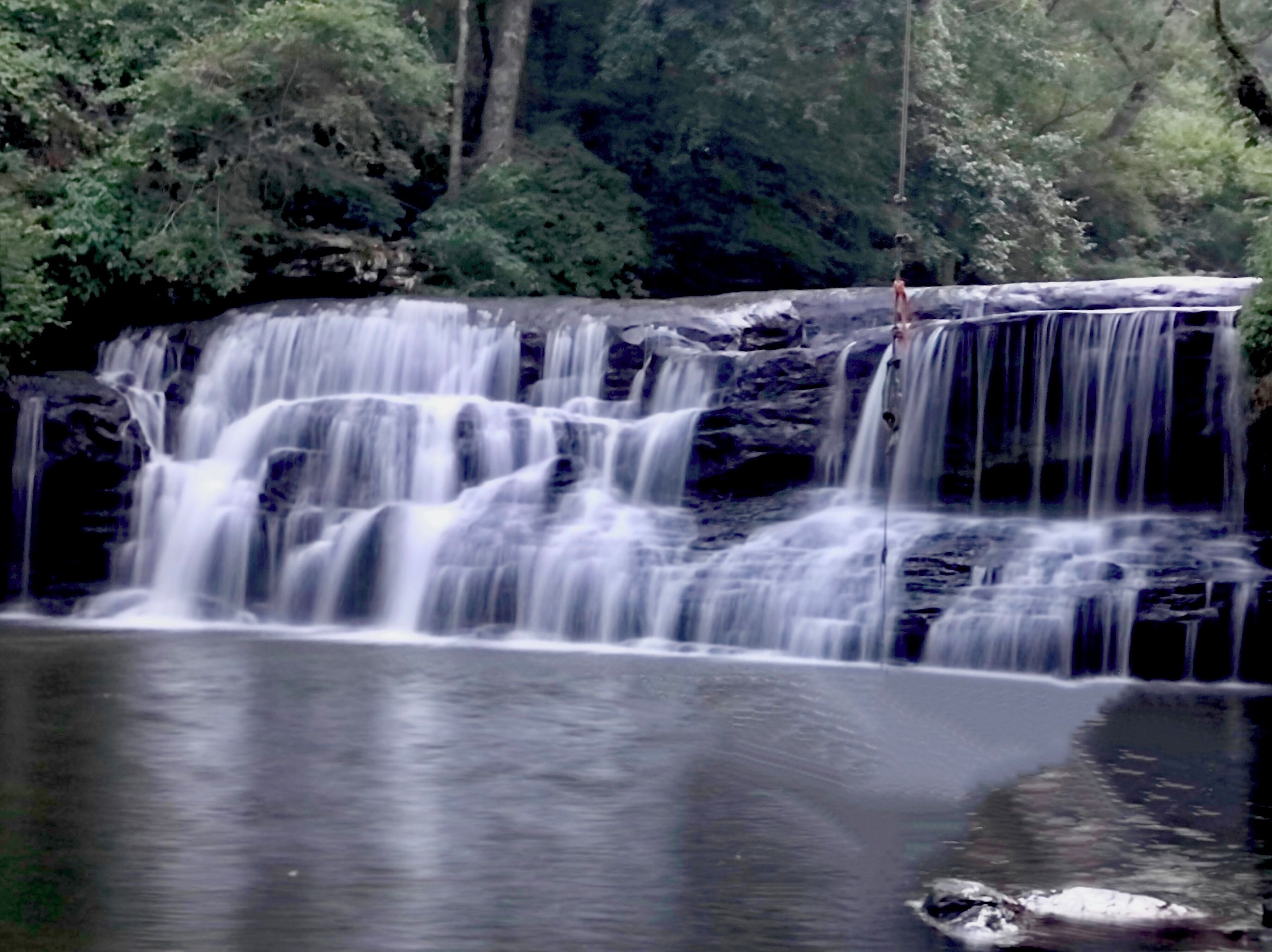 A waterfall cascading over rocks into a calm pool surrounded by dense forest.