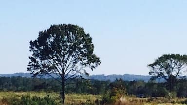 On up the road. Technically this is dozier Alabama