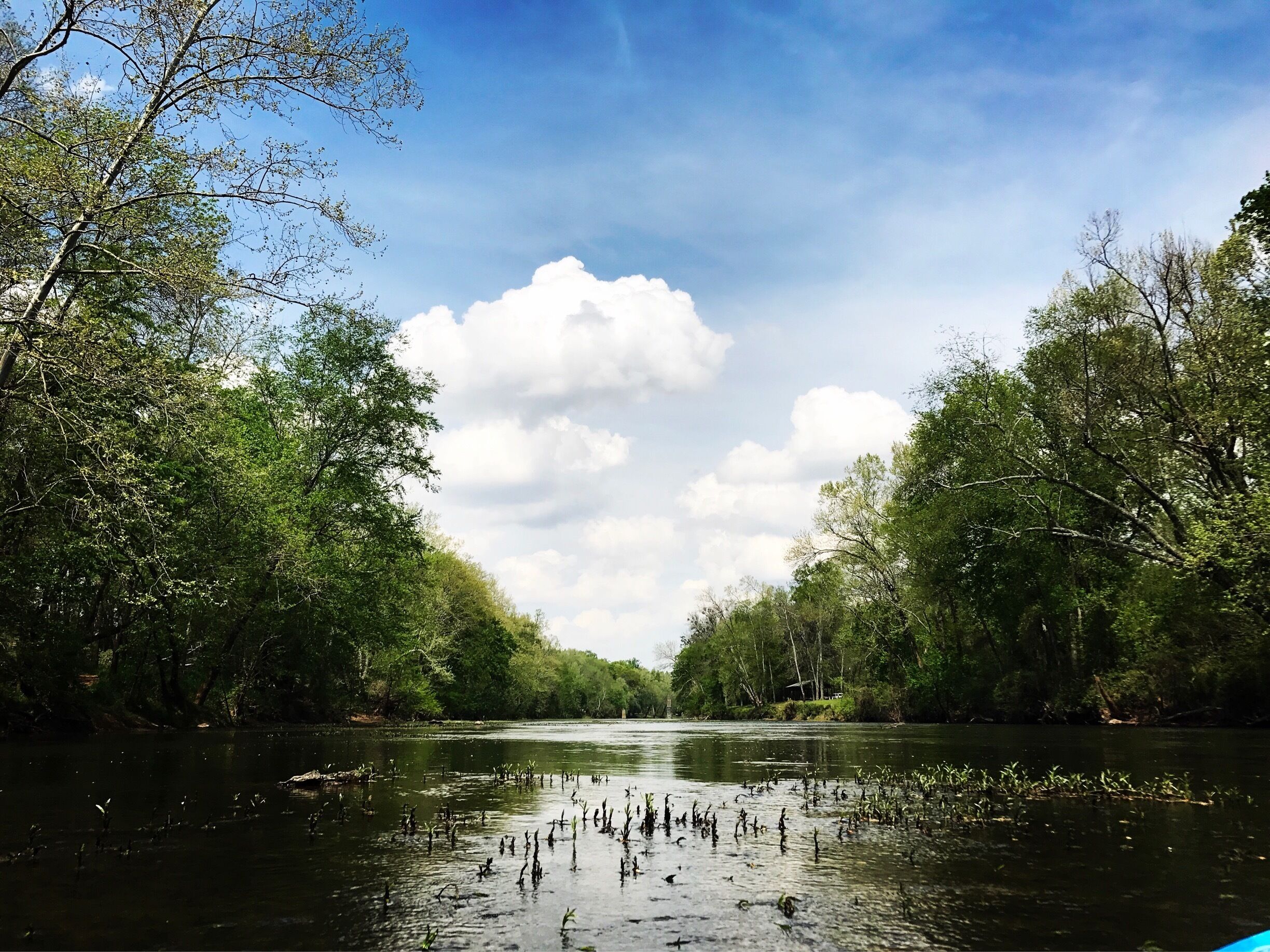 
 I have been blessed to travel and live all over the World. Each have graciously taken me in and they became my Home. Their beauties mesmerize me, thus I #LoveMyTown. I have been, and always will be, a #NomadicSoul #TravelinLight
#SpringFun
#RiverLife
#Green