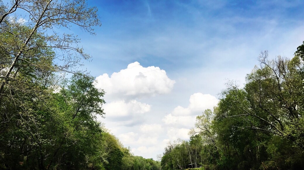 I have been blessed to travel and live all over the World. Each have graciously taken me in and they became my Home. Their beauties mesmerize me, thus I #LoveMyTown. I have been, and always will be, a #NomadicSoul #TravelinLight
#SpringFun
#RiverLife
#Green