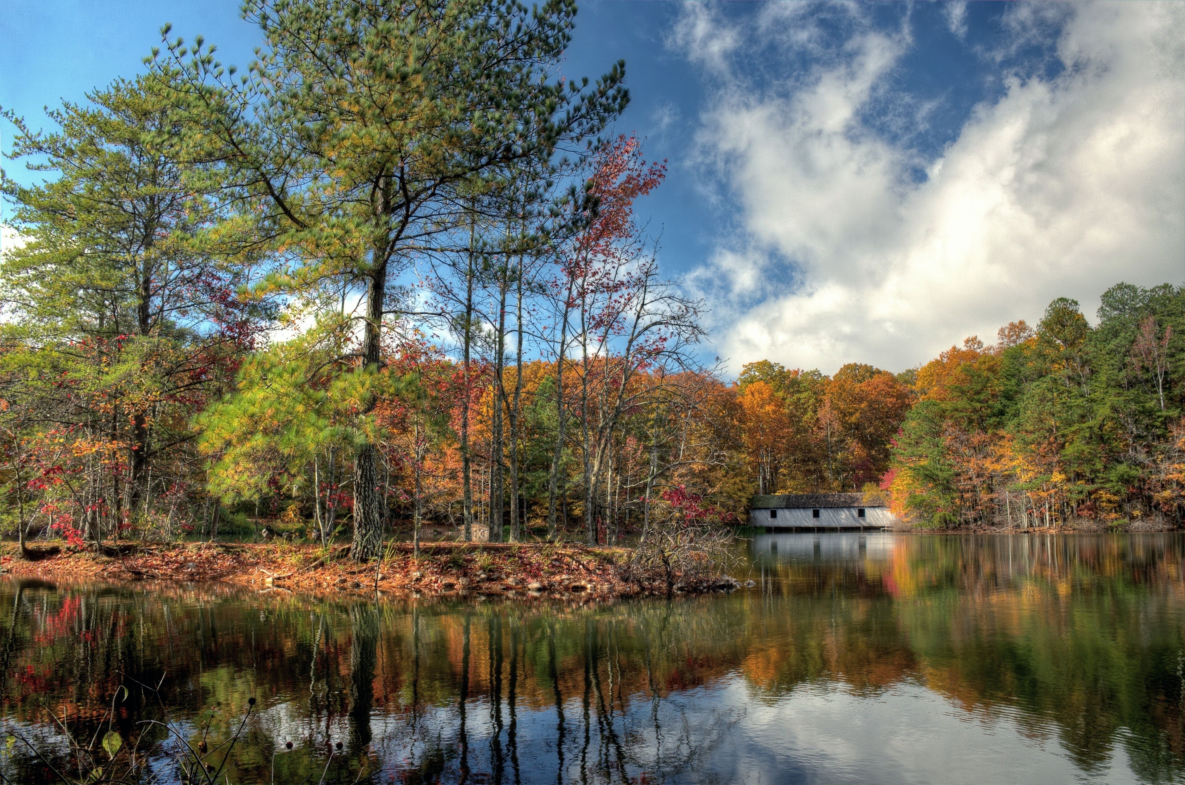 براونسبورو