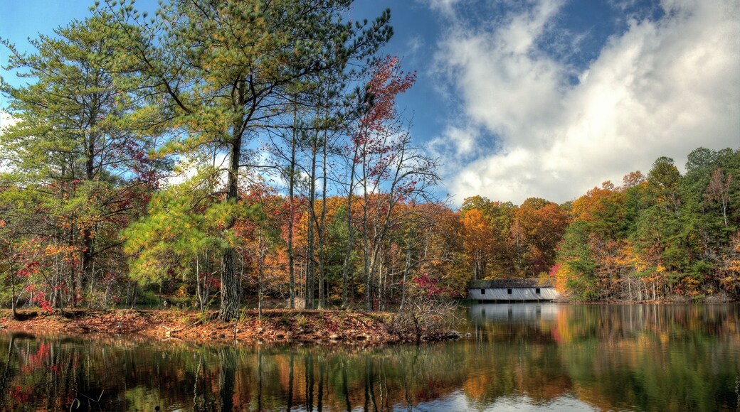 براونسبورو