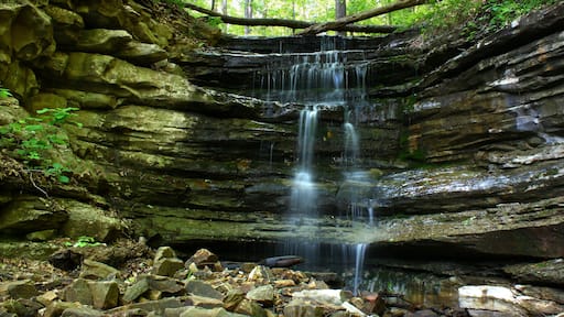 ブラウンズボロ