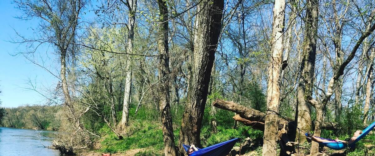 A riverside with kayaks, a hammock, and a dog.
