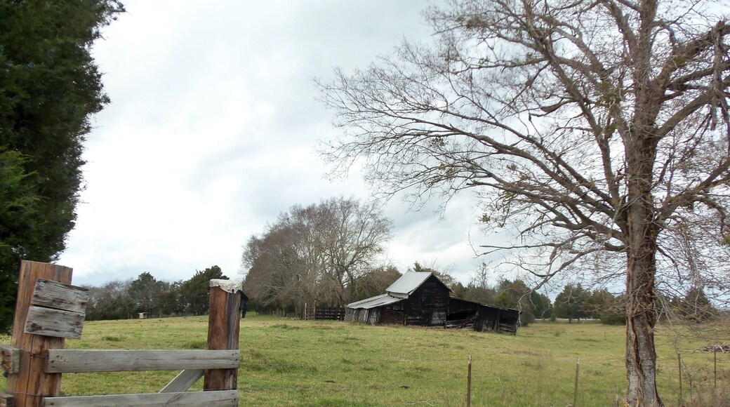 The Old Black Barn - This old barn on Highway 69 has been decaying for close to 40 years now. A few years ago, someone replaced the tin and painted it black, but it's been abandoned and decaying ever since. I hope it doesn't fall in, because I love seeing it when I ride that way. #barn #abandoned #field #nature #dilapidated #alone #fence