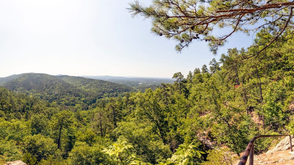 A dense forest with a mountain range in the background.