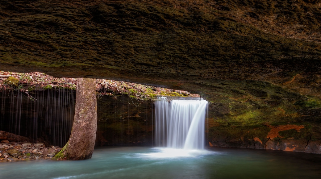 Una cascada que cae sobre rocas cubiertas de musgo hacia una poza tranquila.