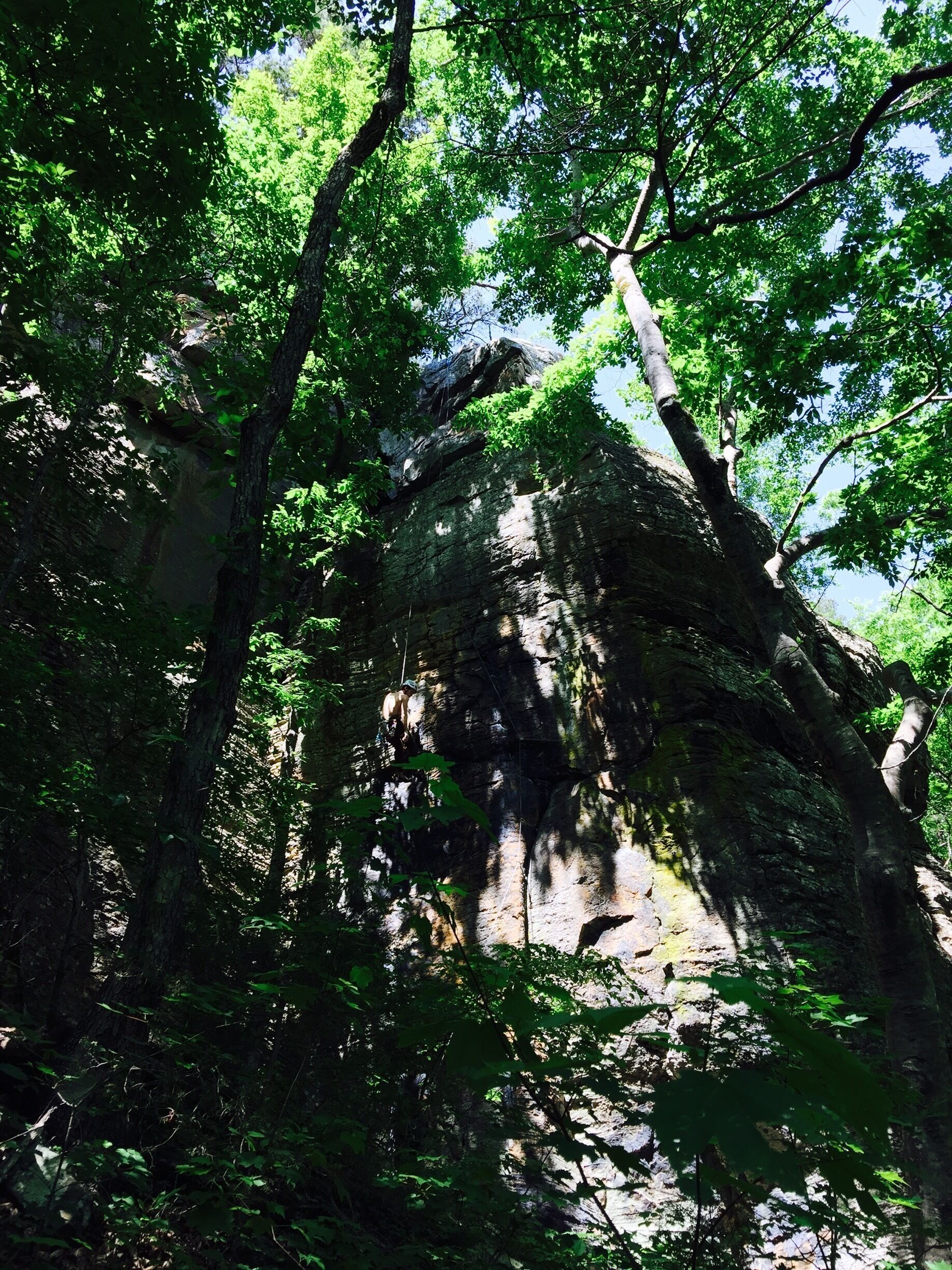 Amazing rock wall just appeared on our hike.