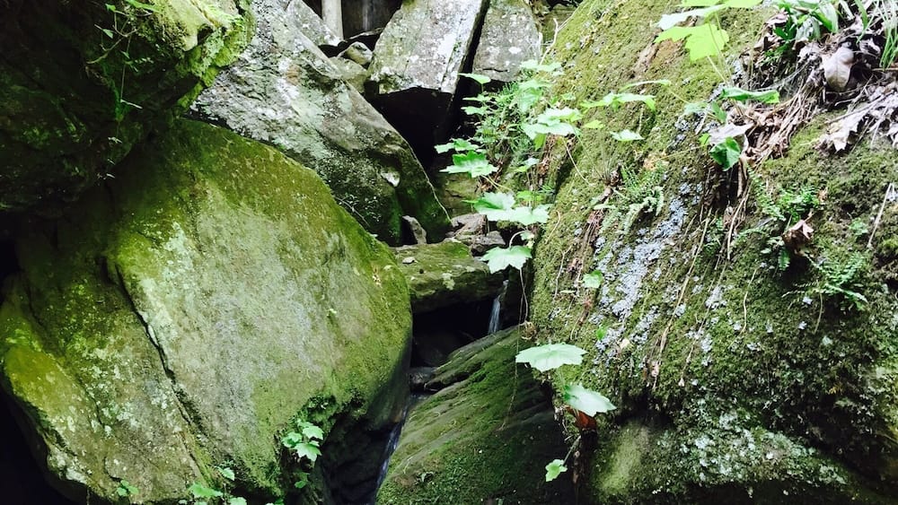 A waterfall cascading over moss-covered rocks in a forested area.