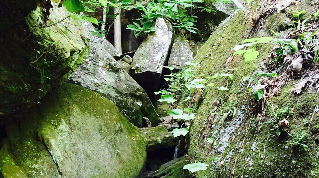 Peaceful lagoon area.