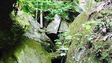 Peaceful lagoon area.