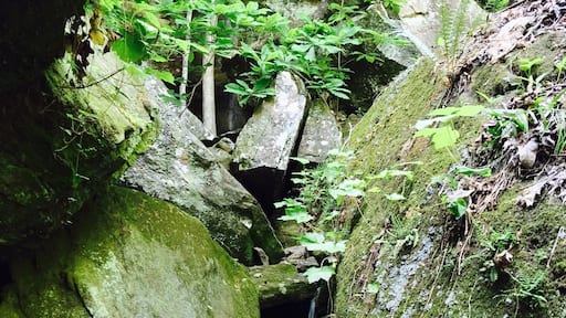 Peaceful lagoon area.