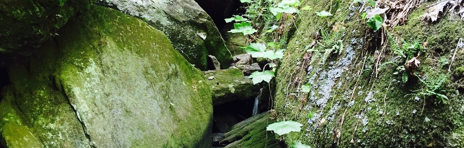 Peaceful lagoon area.