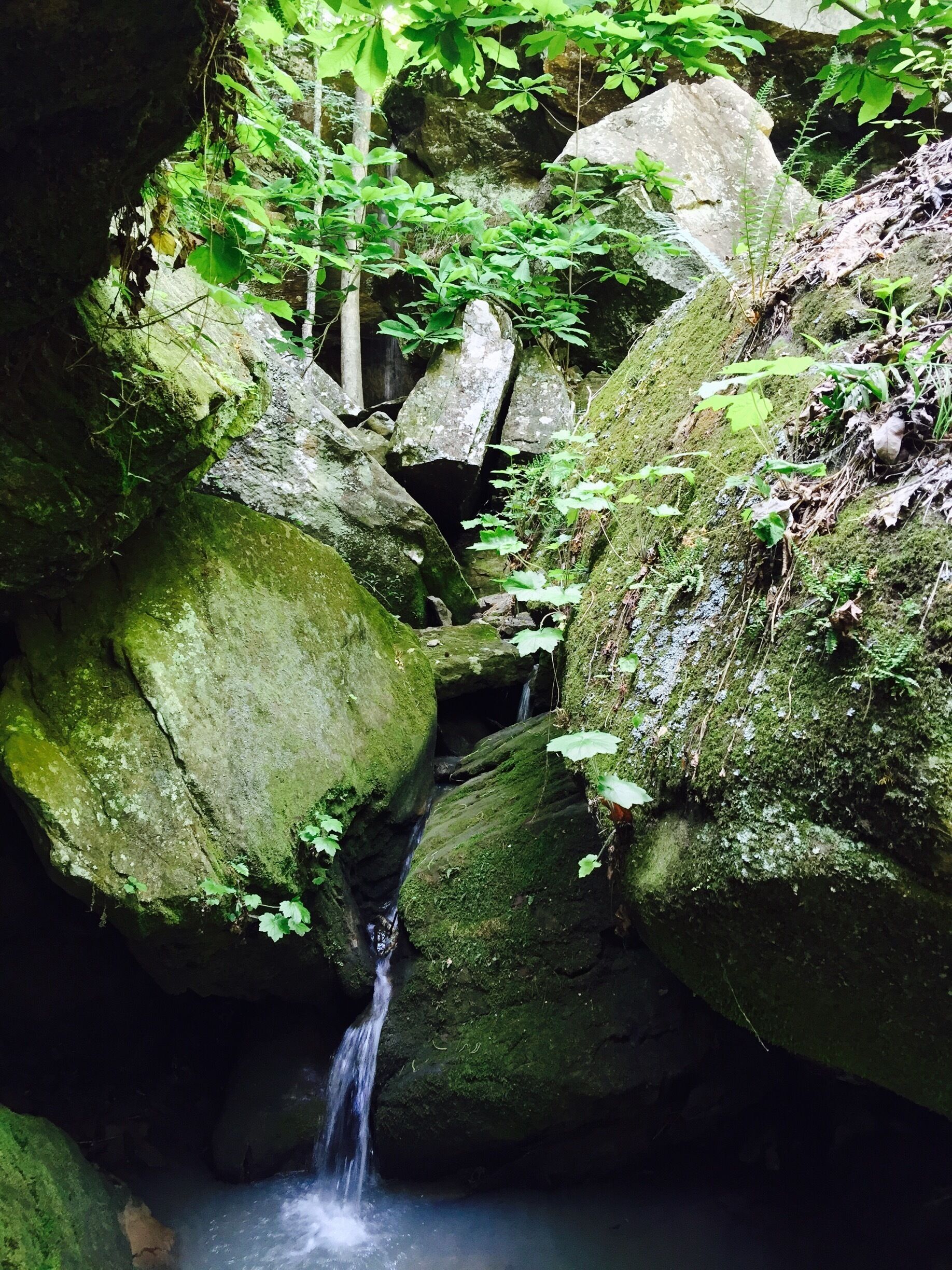 A waterfall cascading over moss-covered rocks in a forested area.