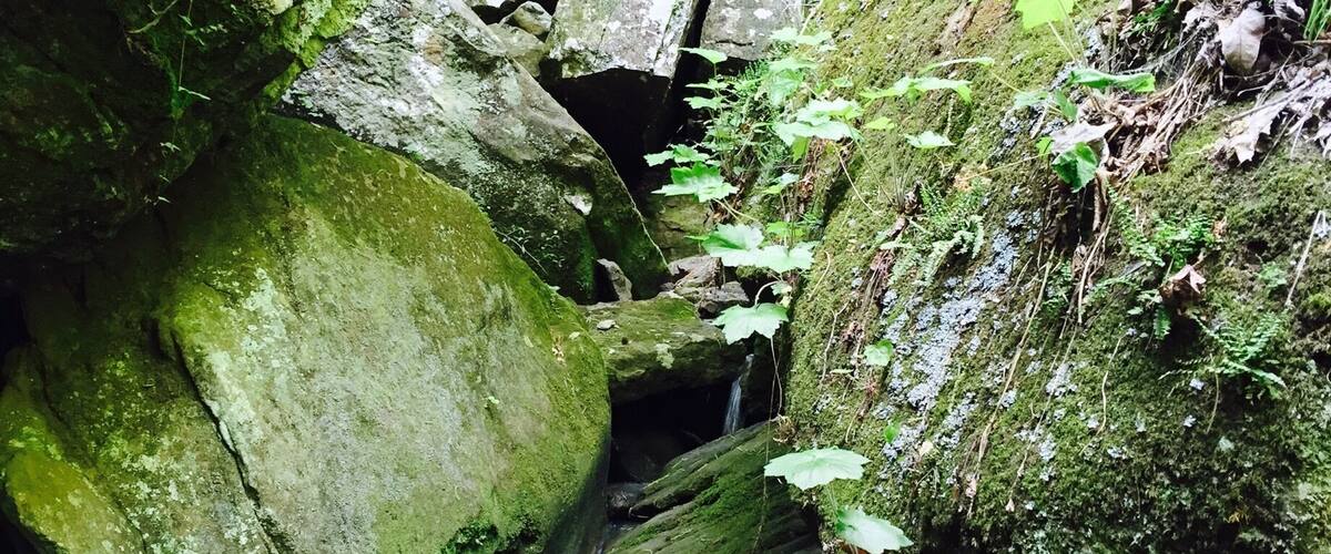 A waterfall cascading over moss-covered rocks in a forested area.